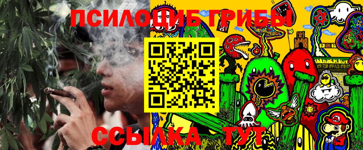 купить наркоту  Вход с VPN  Биробиджан  Псилоцибиновые грибы Psilocybe 